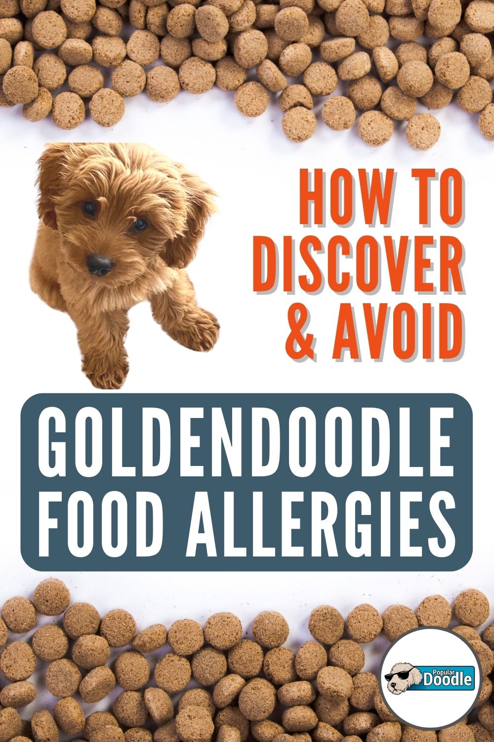 How to Discover & Avoid Goldendoodle Food Allergies (Veterinarian Advice!)