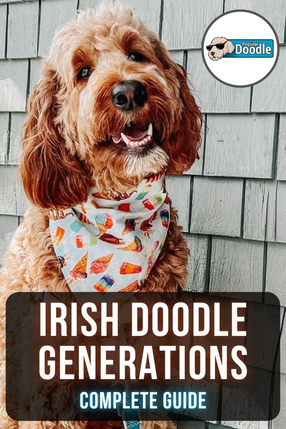 Which Irish Doodle Generation is Best? (F1, F1B, F2, etc.)