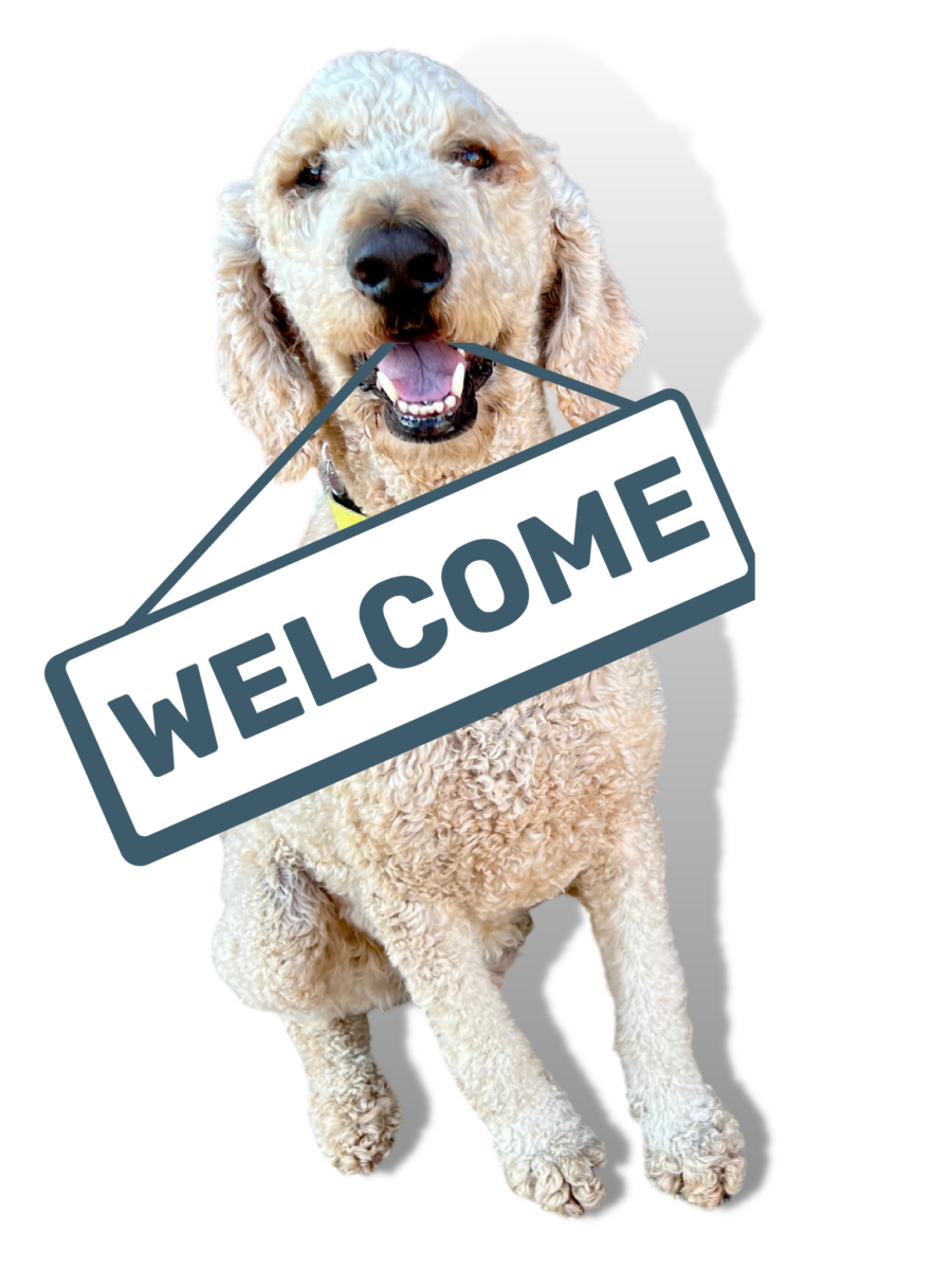welcome-thanks-for-joining-popular-doodle-breeder-directory